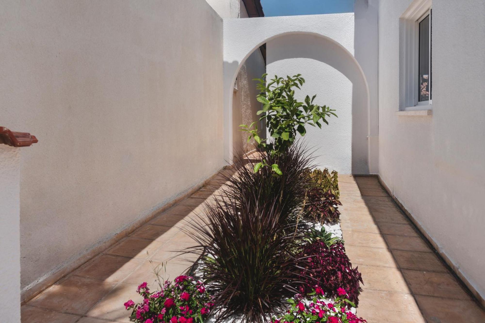 Botanical Art House By Staycom * Paphos